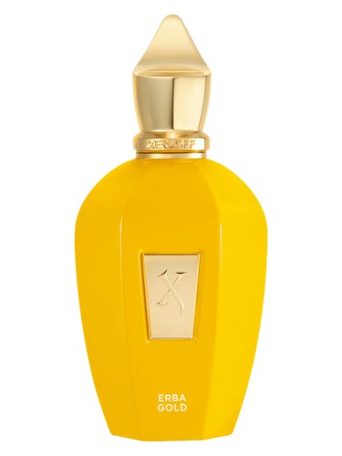 ERBA GOLD EDP 100ML
