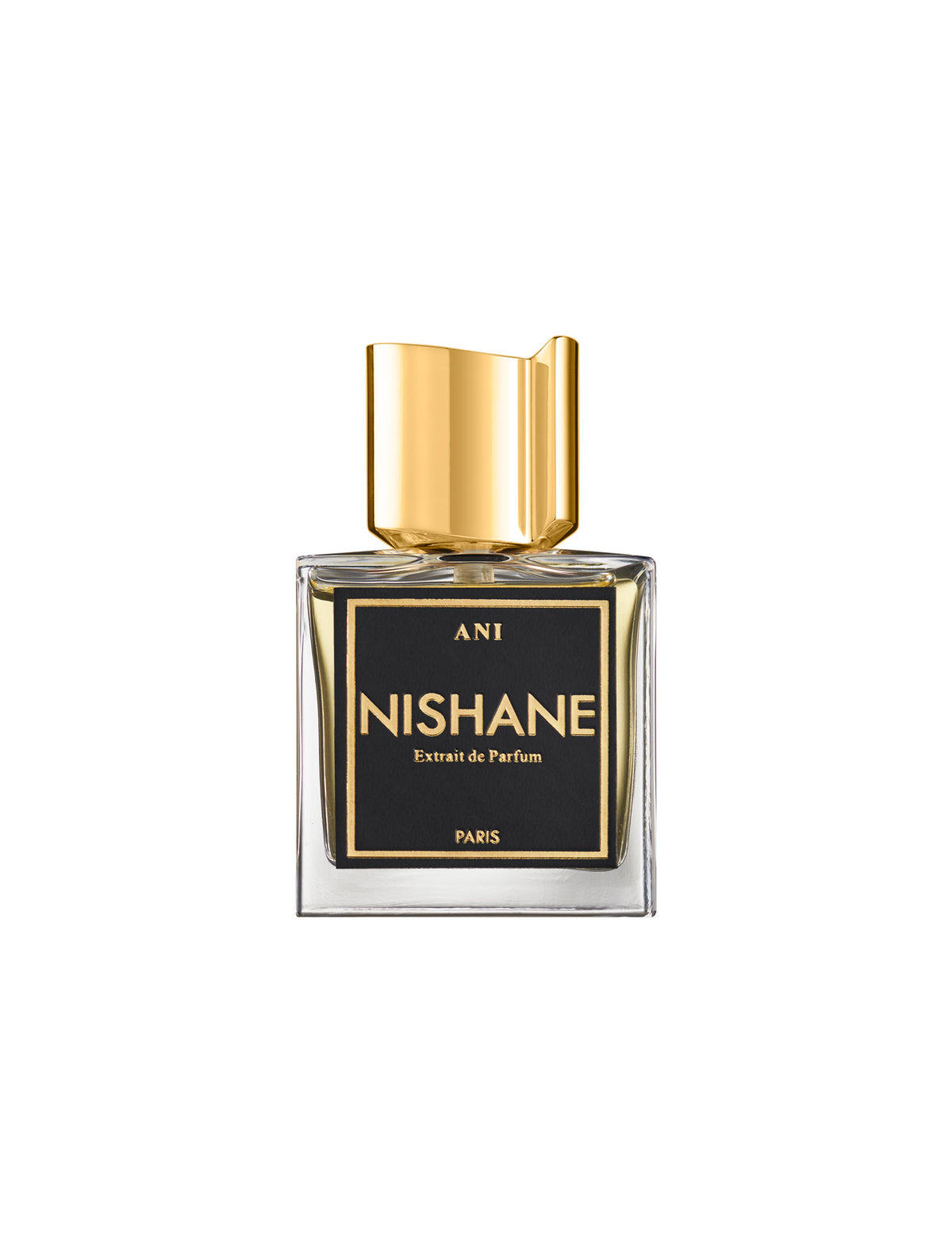 ANI EXTRAIT DE PARFUM 100ML