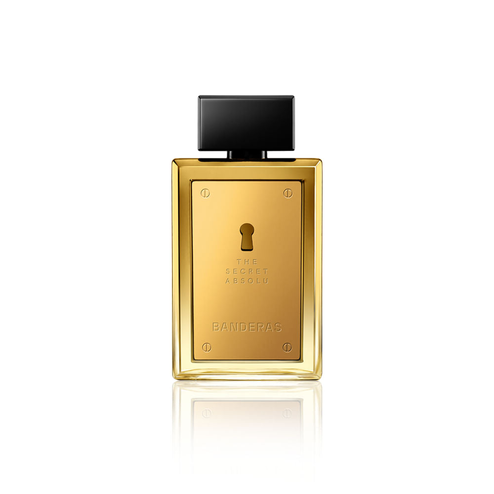 THE SECRET ABSOLU EDP 100ML MASC
