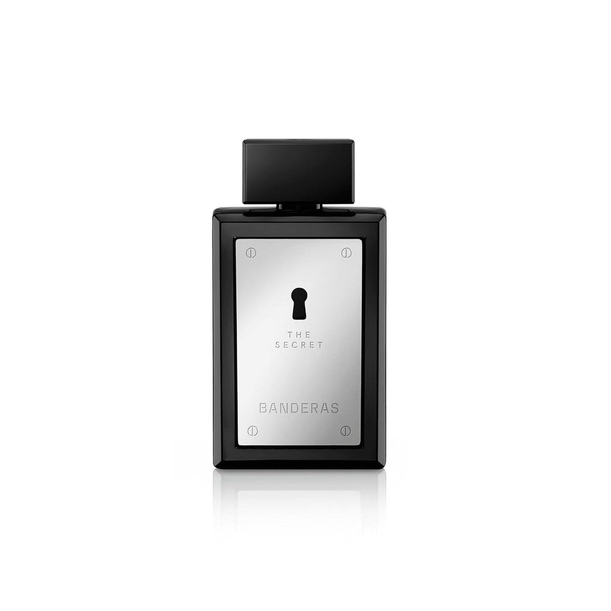 THE SECRET MEN 100ML EDT MASC