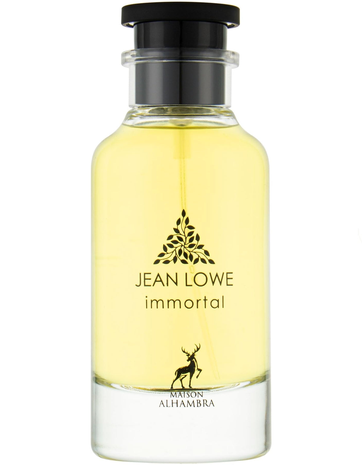 JEAN LOWE IMMORTAL EDP 100ML