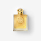 GODDESS INTENSE EDP 100ML FEMININO