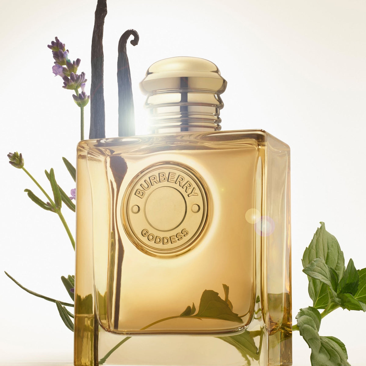 GODDESS INTENSE EDP 100ML FEMININO