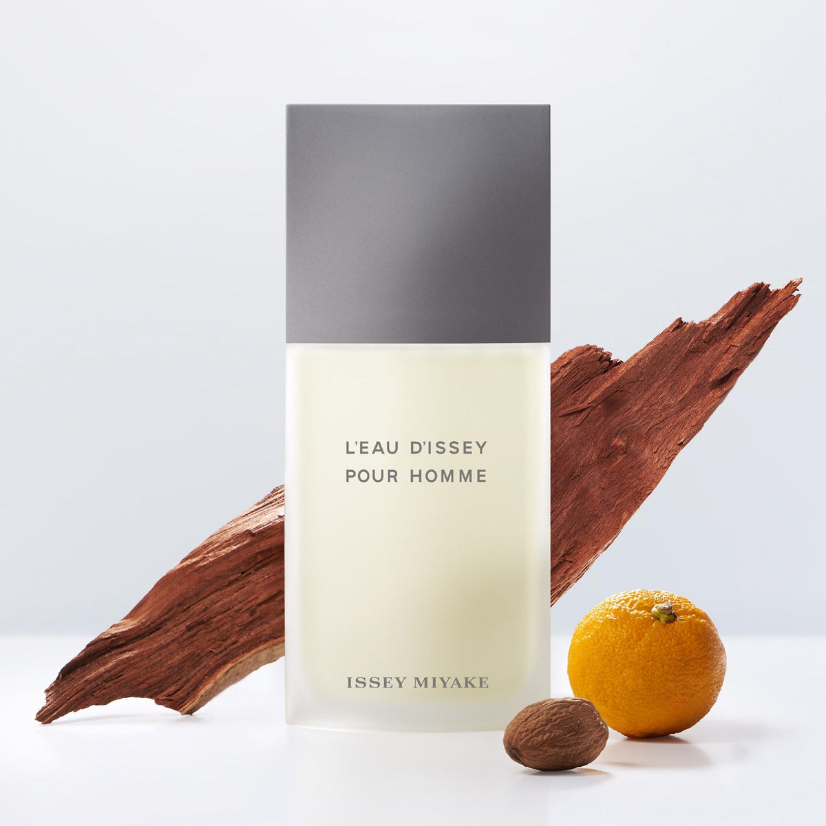 L'EAU D'ISSEY POUR HOMME EDT 200ML MASC