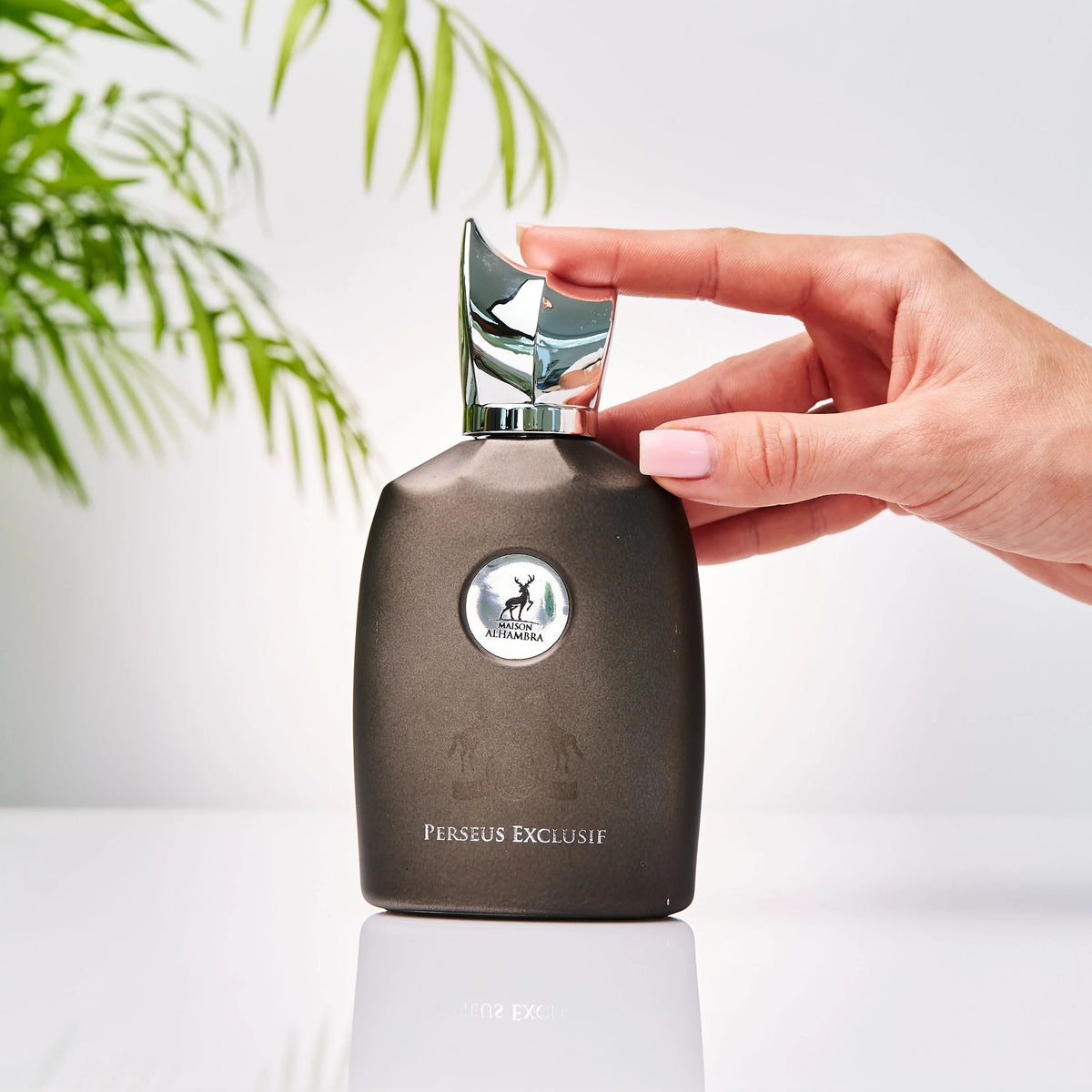 PERSEUS EXCLUSIF EDP 100ML