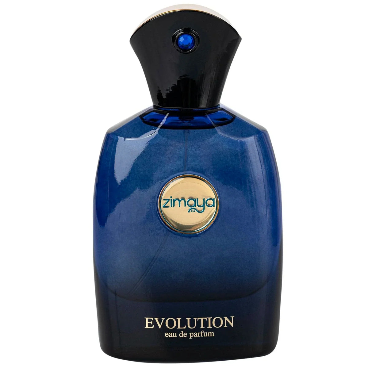 EVOLUTION EDP 100ML MASC